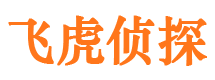 延川市侦探公司